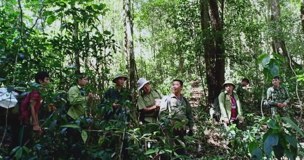 Khi giáo dục trở thành ‘lá chắn’ của rừng