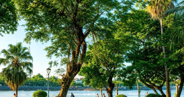 Nhịp sống cộng đồng 'nhẹ nhàng nhưng gần gũi' ở hai bờ sông Hương
