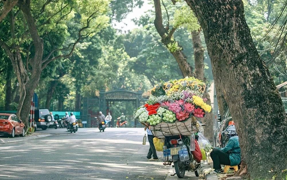 Thu Hà Nội