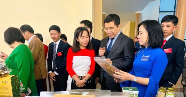 Người ‘đánh thức’ hương rừng, đưa đặc sản vùng cao xuống phố