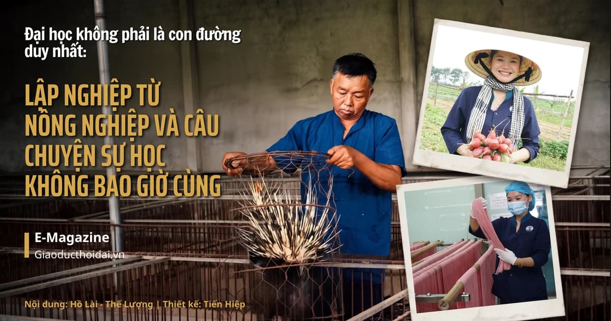 1.200 tác phẩm tham dự 'Kể câu chuyện Việt Nam'