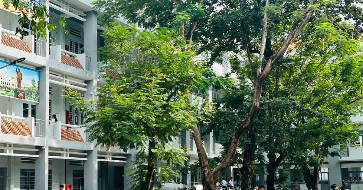 TPHCM tăng cường bảo đảm an toàn hệ thống cây xanh trước mùa mưa bão