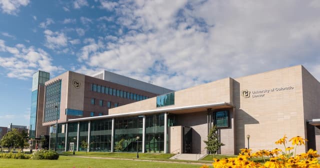 CU Denver MBA kết hợp kiến thức quản trị Mỹ với thực tiễn doanh nghiệp Việt
