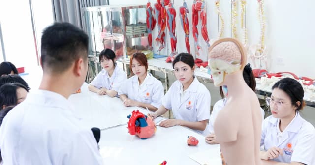 Quy định về nhóm nghiên cứu tiềm năng, nhóm nghiên cứu mạnh trong cơ sở GD đại học